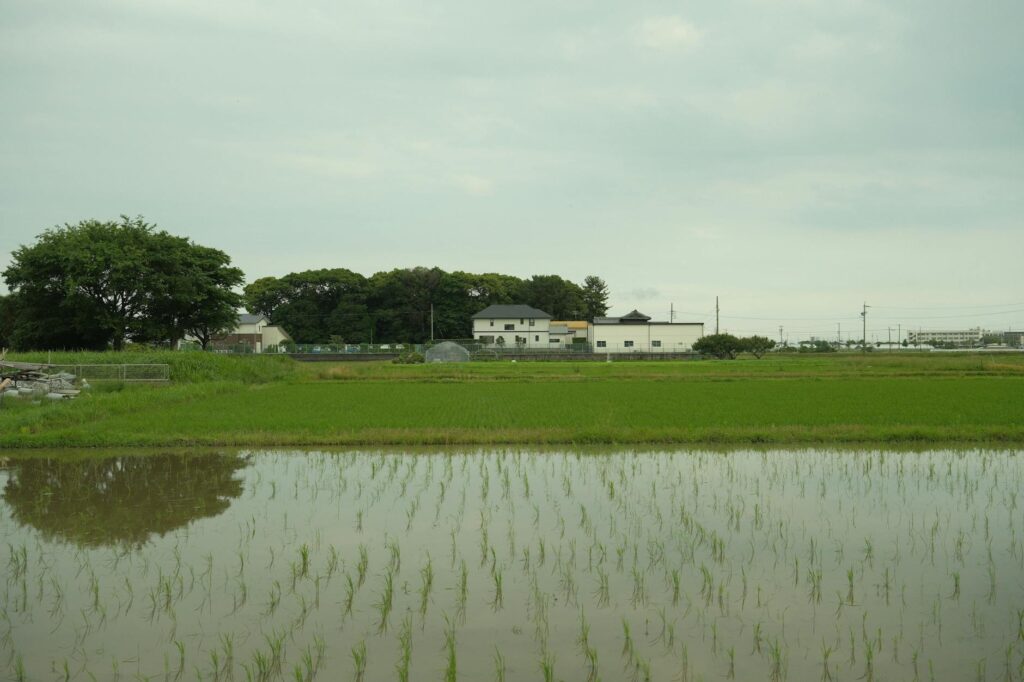 ふるさと納税と投資の両立|余剰資金の使い分け方 - Japan rice farm