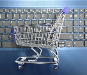 楽天お買い物マラソンで本気で還元を取る私の戦略 - online shopping cart