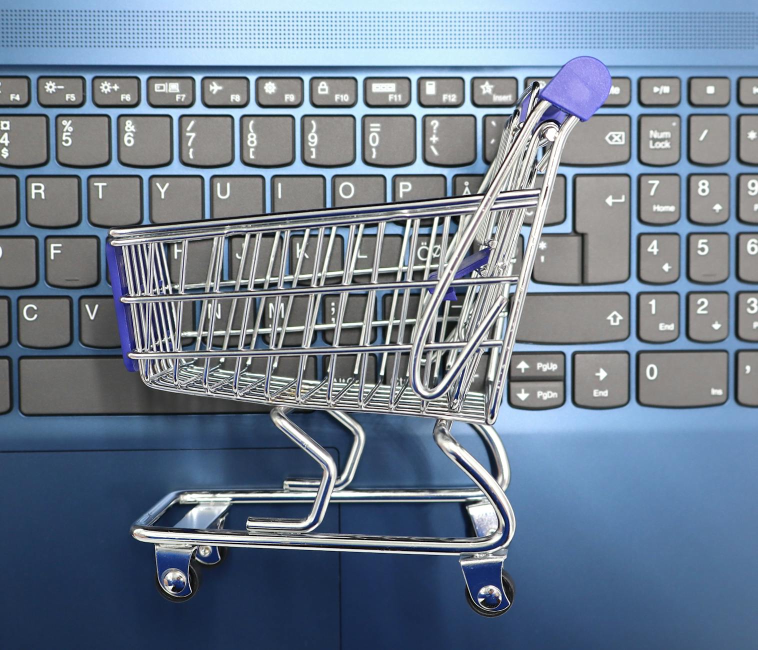 楽天お買い物マラソンで本気で還元を取る私の戦略 - online shopping cart