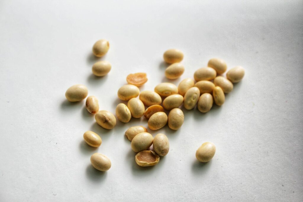 ソイプロテインとホエイの使い分け｜私が両方を常備する理由 - soy protein powder