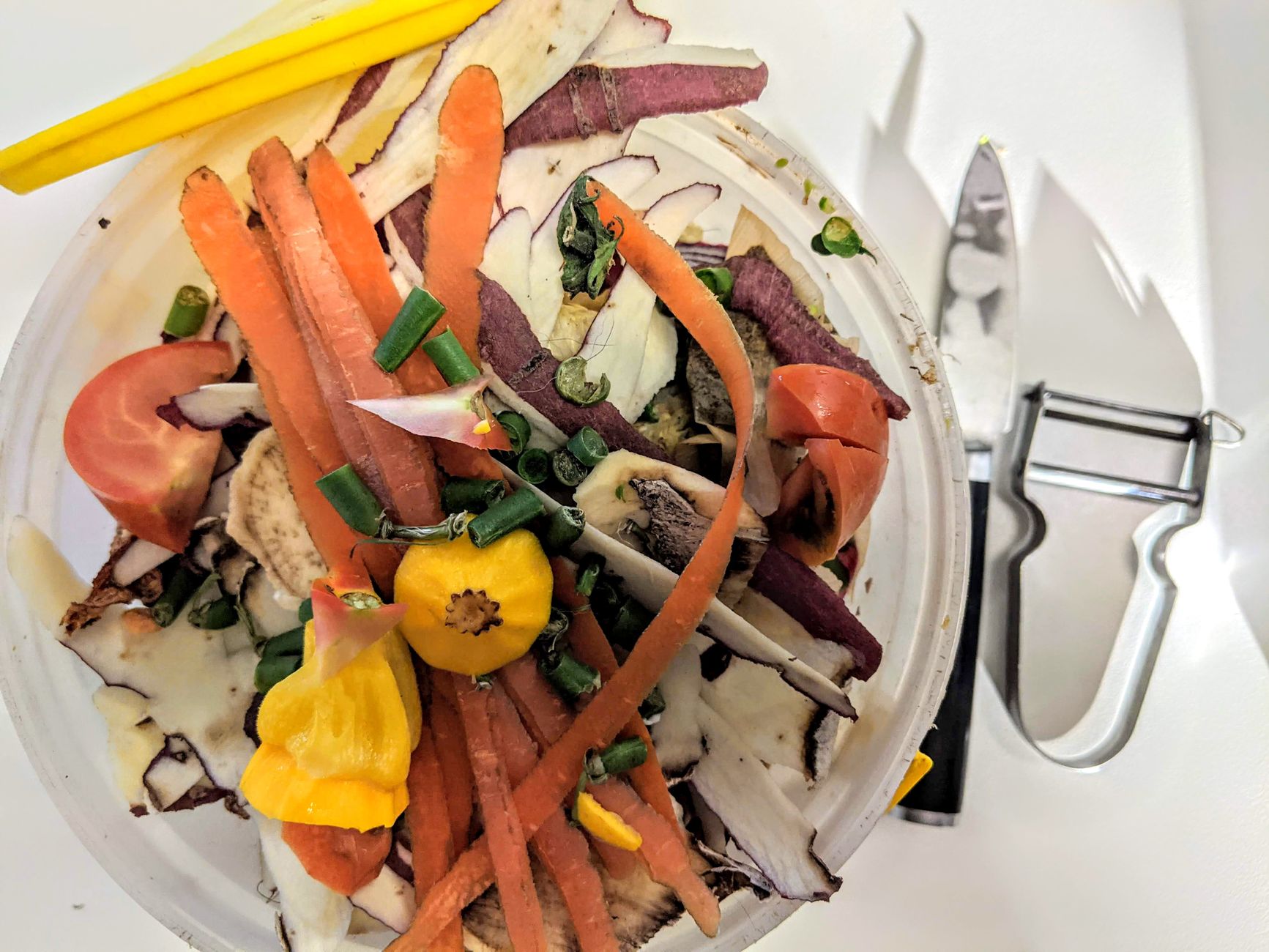 食品ロスを減らす｜冷蔵庫の中身を把握して使い切る - food waste reduction