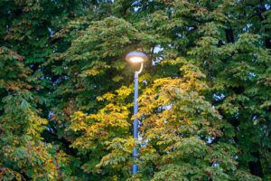 秋のうちに光熱費を点検する｜冬の電気・ガス代に備える - utility bill autumn