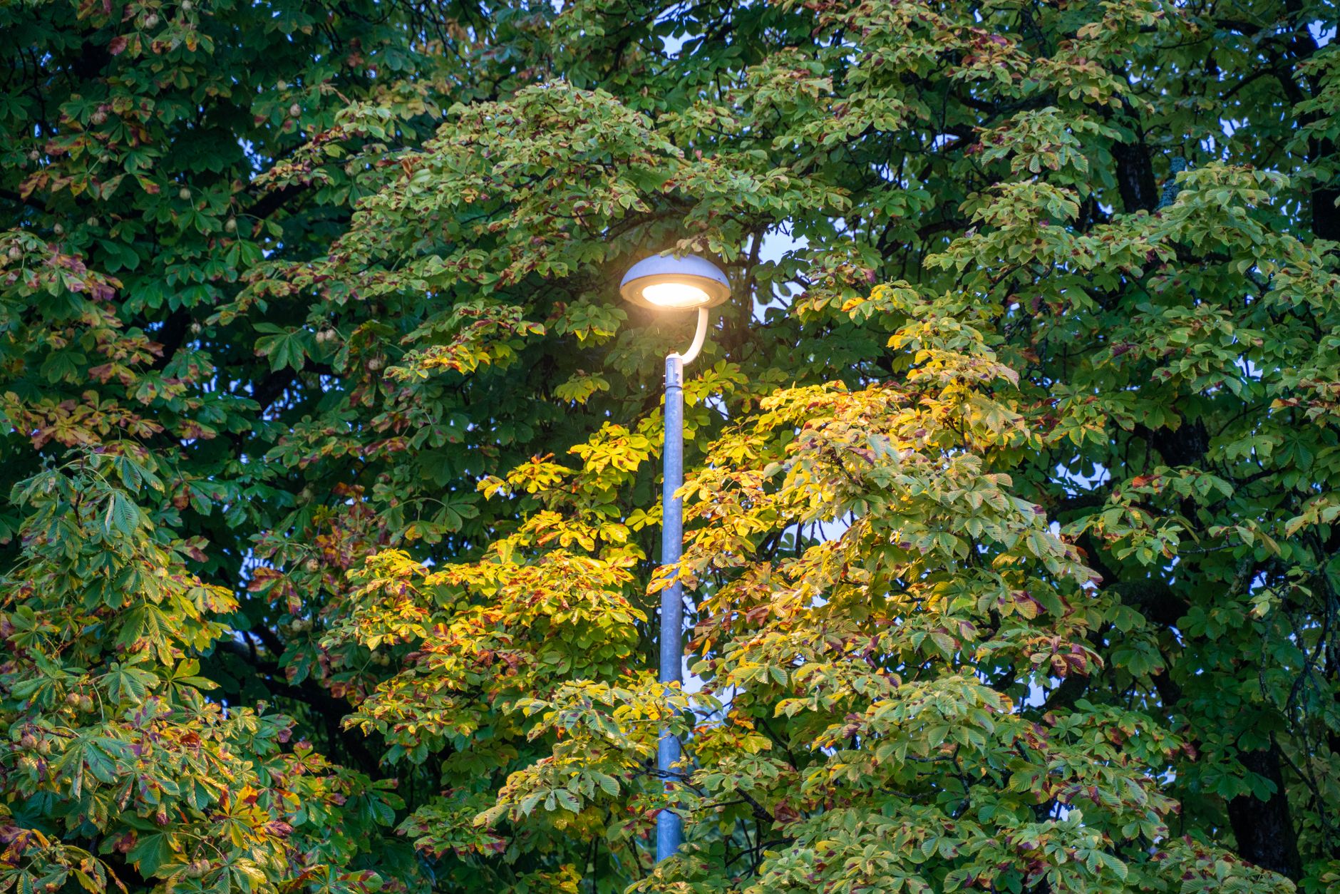 秋のうちに光熱費を点検する｜冬の電気・ガス代に備える - utility bill autumn