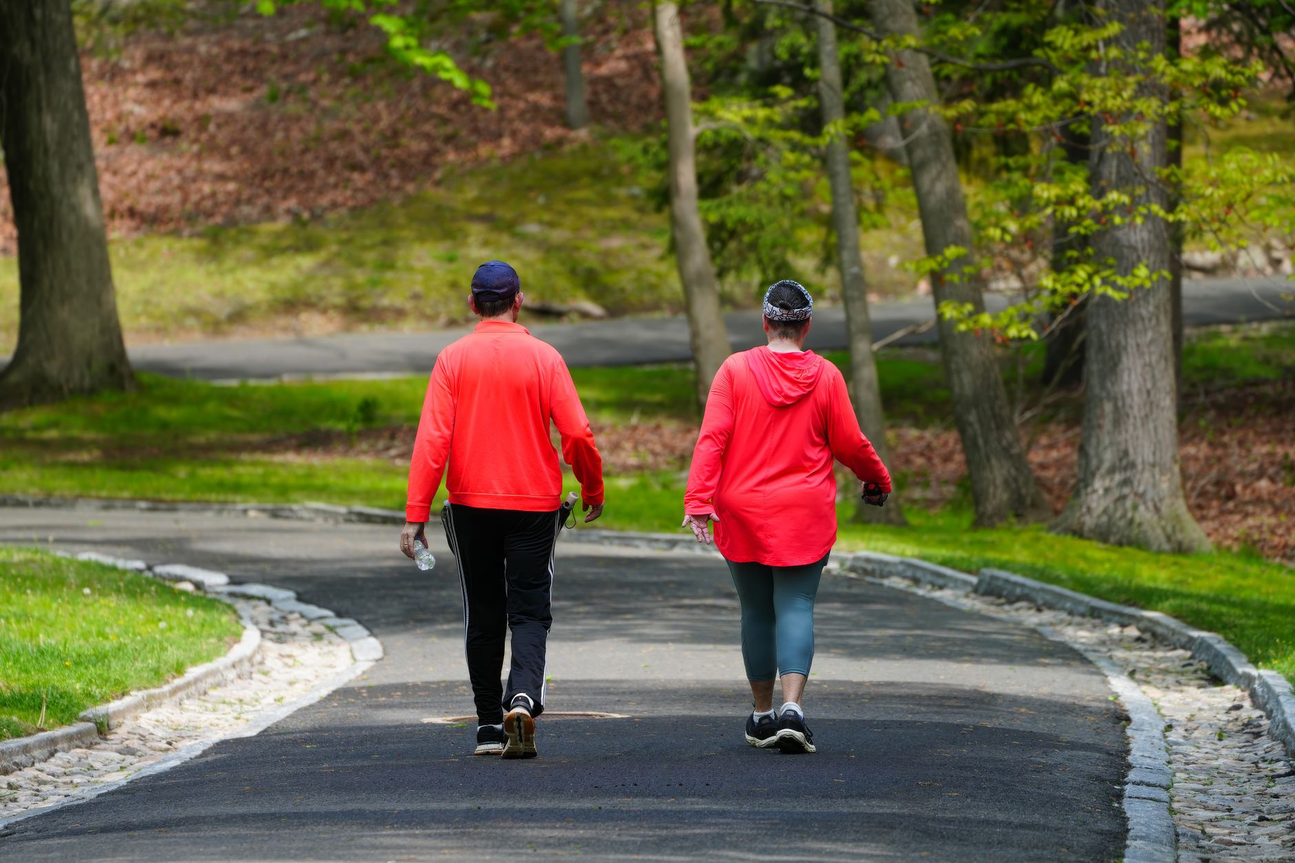 歩く習慣はお金をかけない健康投資｜暮らしを変える小さな運動 - walking habit nature